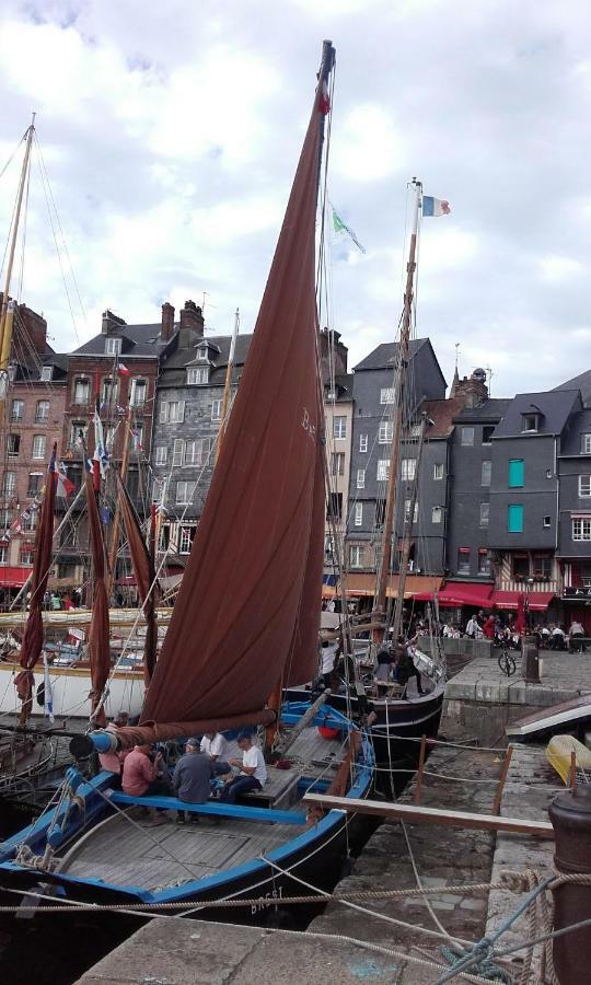 La Fleur D Honfleur Avec Son Parking Apartment Ngoại thất bức ảnh