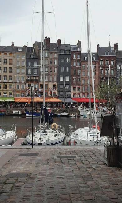 La Fleur D Honfleur Avec Son Parking Apartment Ngoại thất bức ảnh